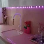 3 Bonita *